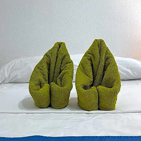 Mini-hôtel Leo *